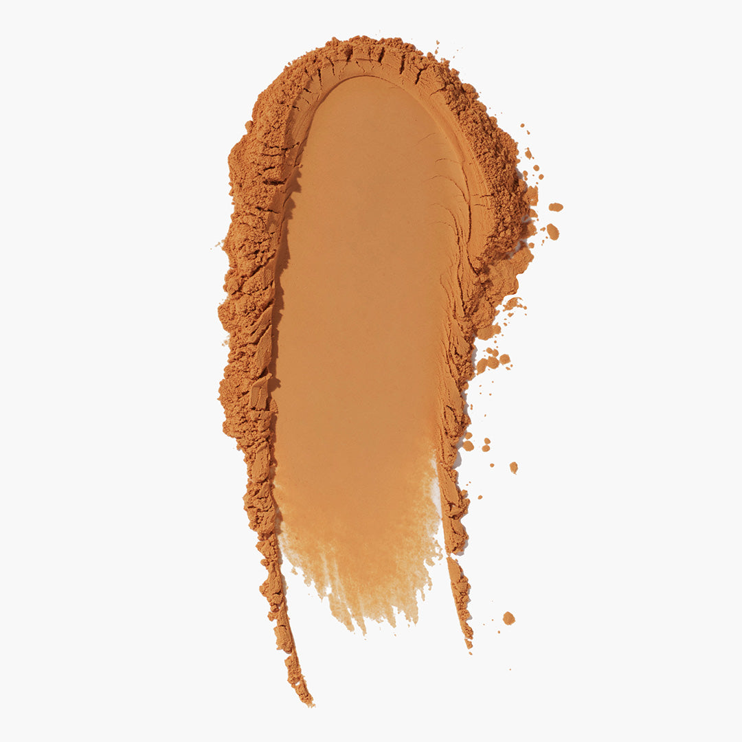 TINTED FACE POWDER - US 4398