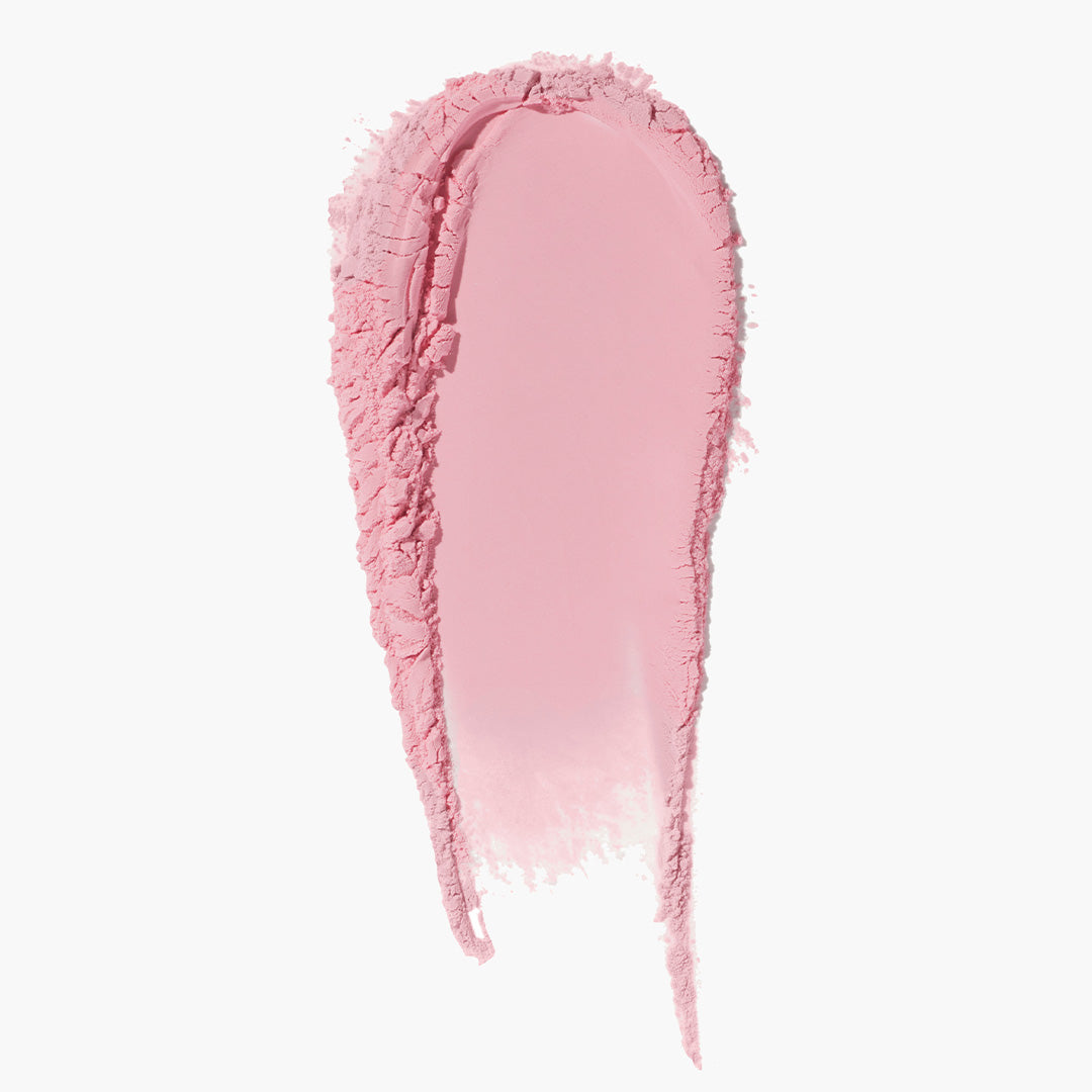TINTED FACE POWDER - US 1466