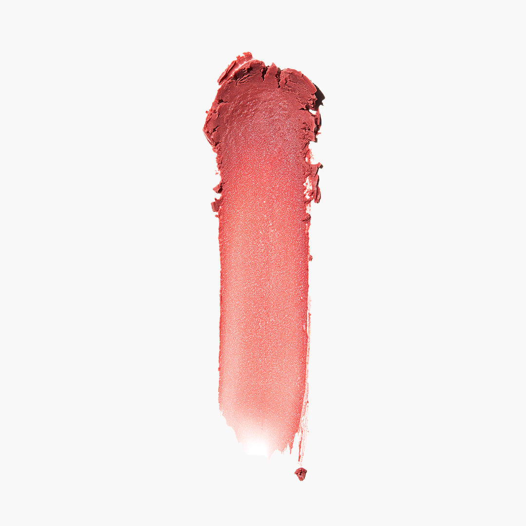 THE LIPPIE STICK - US 5825
